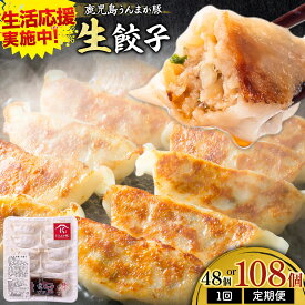 【ふるさと納税】生活応援実施中！ 鹿児島 うんまか豚 生餃子 選べる内容 48個 108個 選べる回数 1回 3ヶ月定期便 隔月定期便 株式会社 寺師《出荷時期をお選びください》鹿児島県 さつま町 餃子 ギョウザ 焼き餃子 水餃子