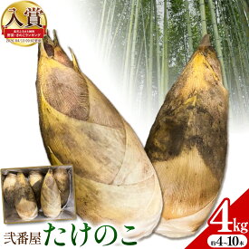 【ふるさと納税】たけのこ 4kg 約4~10本 弐番屋《2027年3月下旬-4月下旬頃出荷》鹿児島県 さつま町 筍 タケノコ