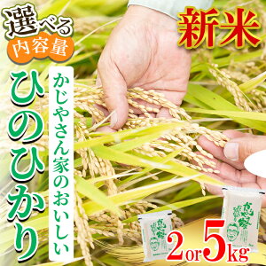 �y�ӂ邳�Ɣ[�Łz�y�ߘa7�N�Y �V�āz�����e�ʂ��I�ׂ遄 �����₳��Ƃ̂��������Ђ̂Ђ���(2kg�E5kg) ���������Y �q�m�q�J�� �_�ƒ��� �u�����h�� ���� ���� ���� ���͂� ���� �V�āy������