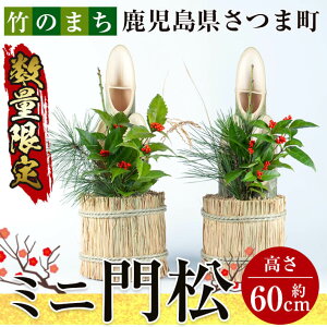 yӂ邳Ɣ[Łzyʌz2025N1223菇NI~j叼(a20cmE60cm)(2)I叼 ǂ܂ ܂ |   NNn t ty{V`