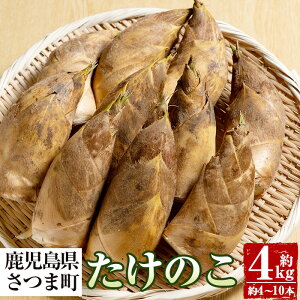 yӂ邳Ɣ[Łzss\tI2026N3{菇\tŶ(4kgE4`10{) Yn  ^PmR Y ϕ ݂ yԉz