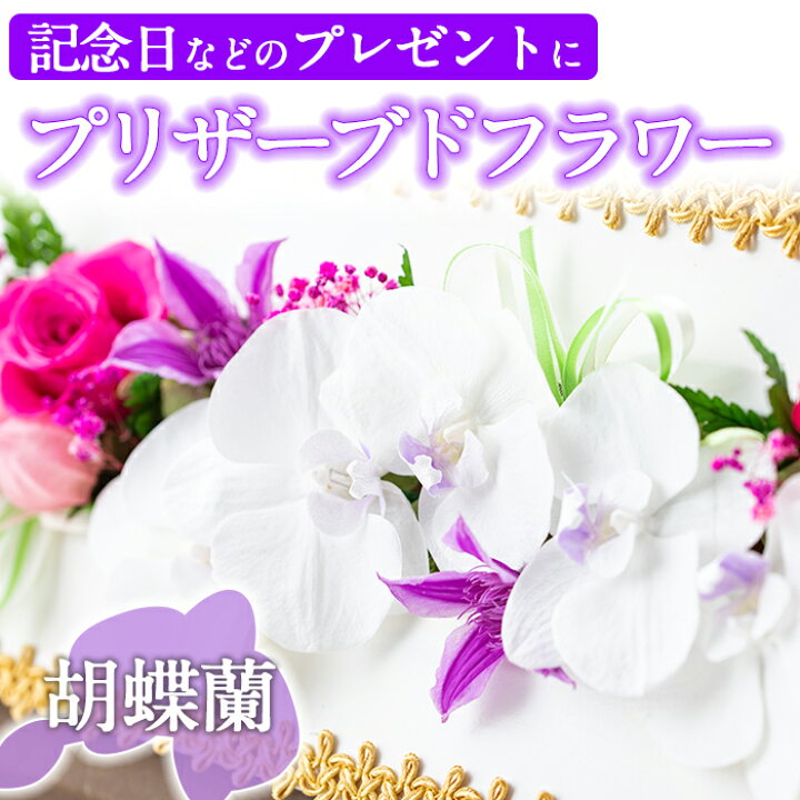 楽天市場 ふるさと納税 毎月数量限定 プリザーブドフラワー 胡蝶蘭 鹿児島県さつま町で大切に育てられた花を使用 記念日などのプレゼントインテリアにも 南原農園 鹿児島県さつま町
