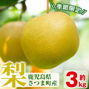 yӂ邳Ɣ[Łzs\tI2025N8{菇\聄sԁEʌtܒY̗(3kg)  Y Ȃ iV t[c ʕ ʎ ʏ` { Gߕi ysRԉz