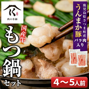 【ふるさと納税】寺師の国産牛もつ鍋セット(4~5人前)国産牛ホルモンを薩摩特製醤油スープで!とうがらし・乾燥にんにく付!締めまで美味しいちゃんぽん麺もセットでお届け【肉の寺師】