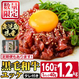 【ふるさと納税】＜容量とお届け回数が選べる！＞《数量限定》鹿児島県産黒毛和牛ユッケ(計160g～1.2kg・1Pあたり40g)タレ付き！鹿児島 国産牛 九州産 牛肉 黒牛 生食用 小分け 冷凍 ユッケ 黒毛和牛 牛 【カミチク】