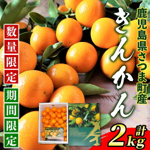 �y�ӂ邳�Ɣ[�Łz����s�\���t���I2026�N1�����{���`2�����{�������\�聄�s���ԁE���ʌ���t�t���[�c���񂩂�(�v2kg)�����ɂ��������߁I �ʕ� �t���[�c ���񂩂� �L���J�� ���� ���k �M�t