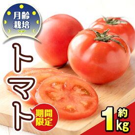 【ふるさと納税】《期間限定》月齢栽培で育てたトマト「月齢栽培トマト」(約1kg) 鹿児島 国産 九州産 野菜 トマト とまと【上市農園】