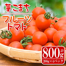 【ふるさと納税】《期間・数量限定》華こまちフルーツトマト(計800g・200g×4パック) 鹿児島 国産 九州産 野菜 とまと トマト ミニトマト フルーツトマト サラダ【吉祥庵園芸】