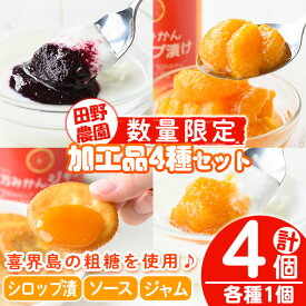 【ふるさと納税】≪毎月数量限定≫田野農園加工品4種セット(ブルーベリーソース・十万みかん加工品(シロップ漬け・ソース・ジャム)各1個・計4個) 鹿児島 国産 九州産 フルーツ 柑橘 ミカン 蜜柑 調味料 シロップ漬 果実 ブルーベリー【田野農園】
