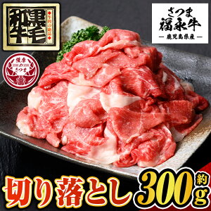 yӂ邳Ɣ[Łzܕi јa ؂藎Ƃ(300g)  Y BY јa ؂藎 ؗƂ ؂肨Ƃ Ⴊ  ϔ Ⓚ F̂ yi{Yz