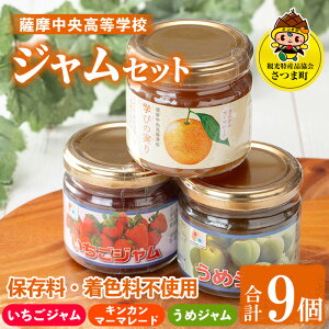yӂ邳Ɣ[ŁzFZWZbg(150g×3×3Ev9)  HHi ʕ lߍ킹 ~  nhCh W }[}[h Mtg  y)ܒόYi