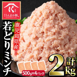 yӂ邳Ɣ[ŁzqʌrYǂ~`(v2kgE500g×4P)  Y  { ғ {Ђ ~` Ⓚ `L no[O ݂  {ڂ y̎tz