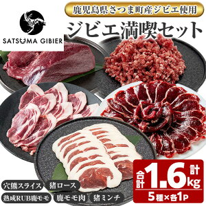 yӂ邳Ɣ[ŁzqܒYWrGgprFWrGiZbgsF(XCX)/[X(XCX)/nRUB(XCX)//~`tiv1.6kgE5)  