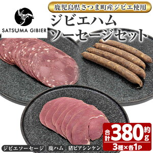 yӂ邳Ɣ[ŁzqܒYWrGgprWrGnE\[Z[WlsWrG\[Z[W/n/rAVPtiv380gE3) Y    WrG  \[