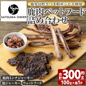 yӂ邳Ɣ[ŁzqܒYWrGgprybgt[hls~`W[L[/]W[L[/EFbgt[htiv300gE100g×e1P) Y   WrG yb