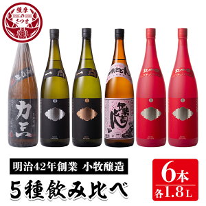 yӂ邳Ɣ[Łzq Ē56{ZbgFS ͎OEꏮVo[EꏮuYEɐgǂEgq×2{(e1.8L)  {i Ē AR[ Ē ܈  b