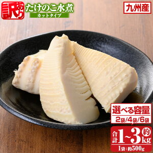 【ふるさと納税】〈選べる容量・配送回数!〉≪訳あり・毎月数量限定≫たけのこ水煮カットタイプ(500g×2袋(計約1kg)/4袋(計約2kg)/6袋(計約3kg)) 鹿児島 国産 水煮 たけのこ 筍 タケノコ 煮物 炊