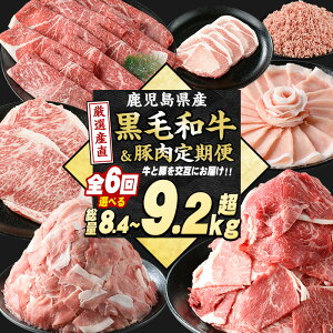 yӂ邳Ɣ[Łz_r[Ly[Ώەi 9܂Ł^֑S6񁄍јaؓ Iׂ 8.4kg 9.2kg Ԑg  [X  ~` [X ؓ  ؂藎Ƃ T[