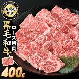 yӂ邳Ɣ[Łz_r[Ly[Ώەi 9܂Ł^Y јa[Xē(400g)Y BY  [X XCX Ⓚ    Ă BBQ o[xL[ Ⓚ ly
