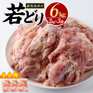 yӂ邳Ɣ[Łz{(v6kgE2kg×3)Ƃ { g `L  Zbg BBQ g  BBQ o[xL[ ǂy܂ڂzmatu-6092R7a