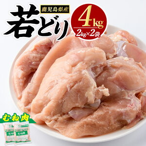 yӂ邳Ɣ[Łz_r[Ly[Ώەi 9܂Ł^ǂ l (v4kgE2kg×2) Y { g  YΏ Ă T_`L    ɍœK ӂ邳Ɣ[ {