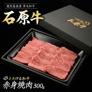 yӂ邳Ɣ[ŁzΌ̐ԐgēZbg(300g) Ό Ԑg ēp Y  EV  ē BBQ o[xL[ r[t ⓀyΌPROzishihara-1345