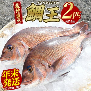 yӂ邳Ɣ[Łz_r[Ly[Ώەi 9܂Ł^uh ^ u ≤ v (܂邲2CE2.4kg) Yn  Yi uh  ① ӂ邳Ɣ[  hg ߂ ⒃Ђ 