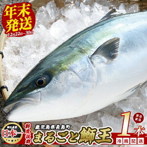 yӂ邳Ɣ[Łz_r[Ly[Ώەi 9܂Ł^yIׂN12/22~30zerŏЉԂ̉lu ܉ v ܂邲1{ (4.5kg) s\ Yn  Yi uh  