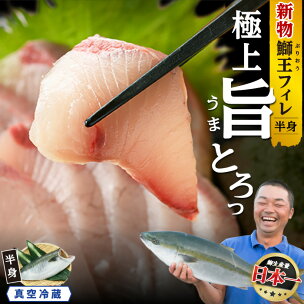 【高評価 4.83】テレビで紹介ぶりの王様「 鰤王 」 フ...