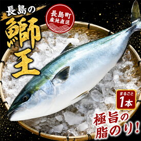 【ふるさと納税】＼発送月が選べる／ テレビで紹介ぶりの王様「 鰤王 」 新物 まるごと 1本 ラウンド 先行予約 産地直送 長島町 特産品 ブランド 鰤 冷蔵 ふるさと納税 ぶり 刺身 ぶりしゃぶ ぶり大根 海鮮丼 【JFA】jfa-7115