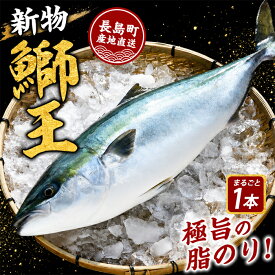 【ふるさと納税】＼発送月が選べる／ テレビで紹介ぶりの王様「 鰤王 」 新物 まるごと 1本 ラウンド 先行予約 産地直送 長島町 特産品 ブランド 鰤 冷蔵 ふるさと納税 ぶり 刺身 ぶりしゃぶ ぶり大根 海鮮丼 【JFA】jfa-7115