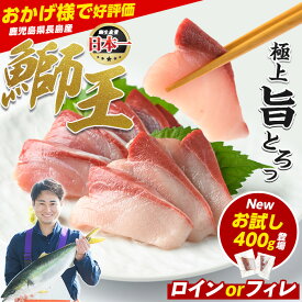 【ふるさと納税】テレビで紹介ぶりの王様「 鰤王 」 選べる フィレ (半身) / ロイン (長方形切り身2節) / ポーション（お試し切り身） 冷蔵 真空パック ふるさと納税 ぶり 刺身 鰤 ぶりしゃぶ たたき 【JFA】_jfa-7f