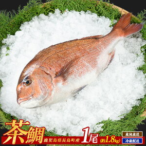yӂ邳Ɣ[Łz 1 Y Y ^C   hg CN CY ܂邲 Ă ς  N {B CN YnyEXCzusui-1034R7