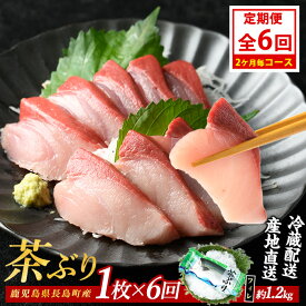 【ふるさと納税】茶ぶりフィレ定期便 2ヶ月毎 (全6回) 国産 鹿児島県産 ブリ 茶ぶり 鰤 海鮮 海産物 フィレ 魚介 魚 刺身 海鮮丼 産地直送 定期【ウスイ】usui-1384B7