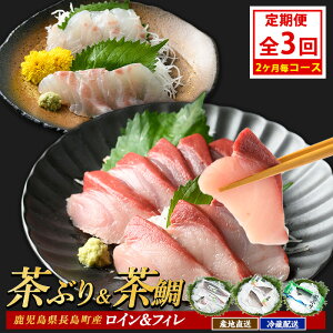 yӂ邳Ɣ[ŁzԂE̒ 2 (S3) Y Y u Ԃ    CN CY tB   hg CN Yn yEXCzusui-1385B7