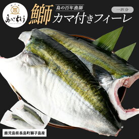 【ふるさと納税】＜百年漁師＞獅子島産 百年漁師の鰤 カマ付きフィーレ2パック (1匹分) 【島のごちそう】gochi-7039