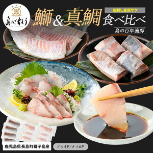 【ふるさと納税】<百年漁師>獅子島産 百年漁師の鰤 (約150g×4P) と真鯛 (約100g×6P) お刺身用サク食べ比べ【島のごちそう】gochi-1335