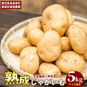 yӂ邳Ɣ[ŁzaYƂ݂̏nႪ(v5kg)Y Y  Ⴊ WKC  t  { ԓyyєaY_ziio-1015