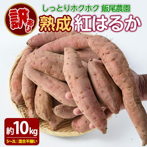 yӂ邳Ɣ[Łzs 󂠂 tє_ g͂邩 10kg   ܂ Tc}C Y Y Y ׂɂ͂邩 nyє_zmiio-6125