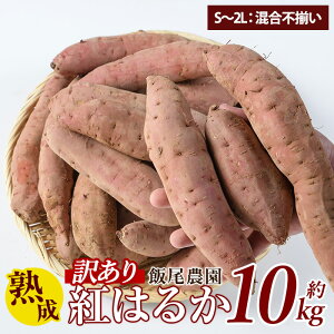 yӂ邳Ɣ[Łzs 󂠂 tє_ g͂邩 10kg   ܂ Tc}C Y Y Y ׂɂ͂邩 nyє_zmiio-6125