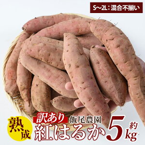yӂ邳Ɣ[Łzs󂠂tє_ n g͂邩 5kg   ܂ Tc}C Y Y Y ׂɂ͂邩 nyє_zmiio-874