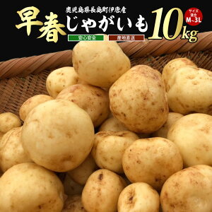 yӂ邳Ɣ[Łzys\zʁEԌ聄ɓYtႪ(10kg)Y  Y BY ΂ꂢ WKC   WKo^[ |eg T_  { ԓyy{