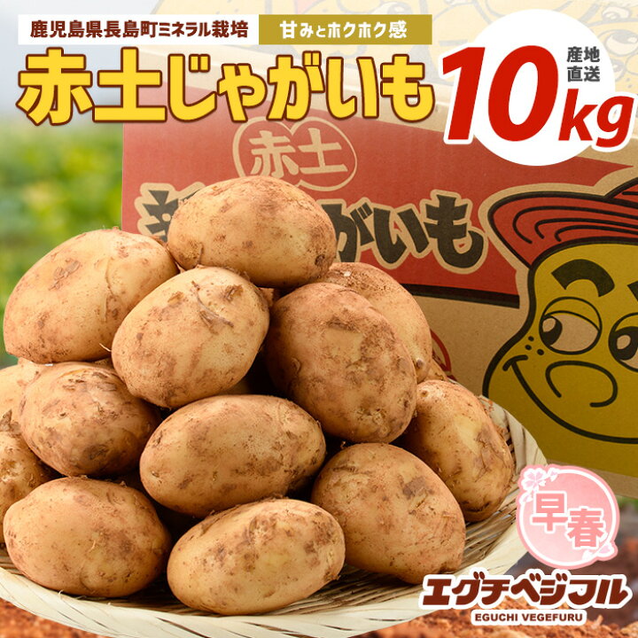 楽天市場】【ふるさと納税】早春長島のミネラル栽培ジャガイモ(10kg 
