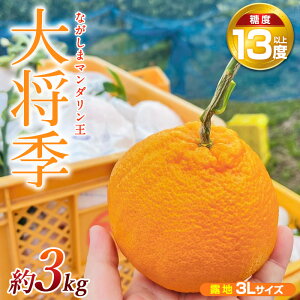 yӂ邳Ɣ[Łzys\zȂ܃}_yInz(叫G) 3kg Y  ʕ t[c k ݂ IW  Zbg lߍ킹yȂ܃}_O[vzmandarin-