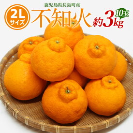 【ふるさと納税】【先行予約】不知火 2Lサイズ 10玉入り約3kg【山上農園】yamagami-7375