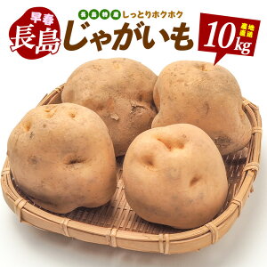 yӂ邳Ɣ[ŁzYtoCV(10kg)  Ⴊ ΂ꂢ  tyݔ_Ƌgzja-4081R7