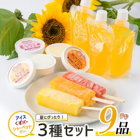 【ふるさと納税】長島町産！シャーベットゼリー・くずバー・アイスセット(3種・合計9個) 長島町産 スイーツ デザート ゼリー シャーベット おやつ 氷菓 くずバー 果物 フルーツ 氷菓 スイーツ 詰め合わせ セット お菓子 【レガーレ・ワキタ】waki-1082