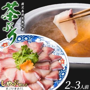 yӂ邳Ɣ[ŁzqYrԂ̂ǂF̉ ԂԃZbgi2`3lOjӂ邳Ɣ[ Y Y u Ԃ  CN CY   hg CNy