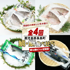 【ふるさと納税】 ＜定期便・毎月発送全4回＞ 鯛と鰤の食べ比べ定期便(フィレ) 全4回 長島町特産 テレビで紹介ぶりの王様「鯛王」 フィレ フィレ 1枚 切り身 茶鯛 フィレ(2枚入り) 半身 国産 鹿児島県産 鯛 nagashima-1514