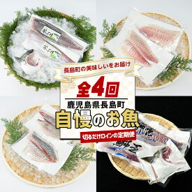 【ふるさと納税】 ＜定期便・毎月発送全4回＞ 長島町自慢のお魚定期便(ロイン) 全4回 長島町特産 ぶりの王様「鯛王」 スキンレスロイン (片身分・2分の1カット済) 鯛王ロイン 4節 シマアジ 4節 鰤王ロイン 2節 nagashima-1515